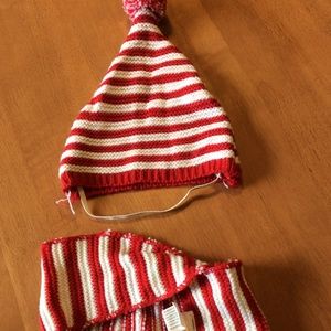 Pet Hat and Scarf